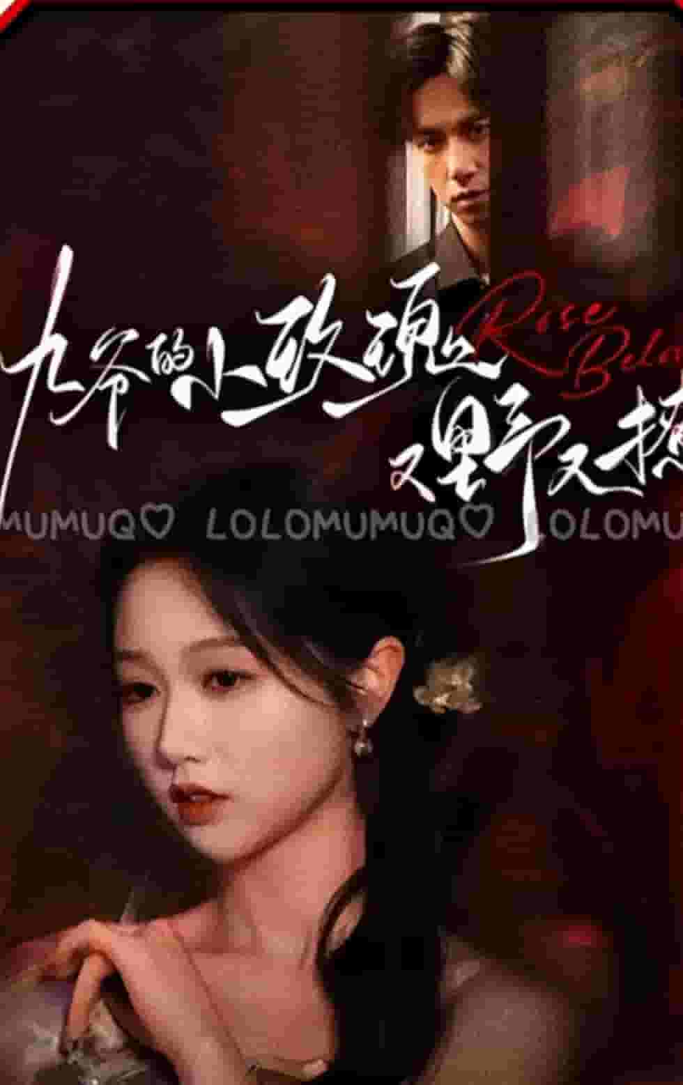 九爷的小玫瑰又野又撩第09集