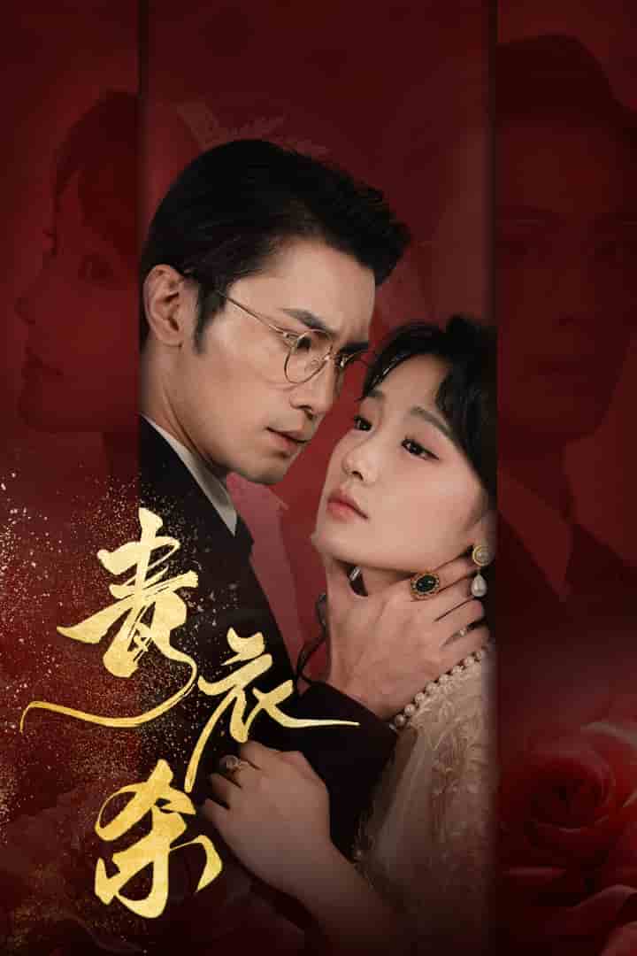 青衣杀第41集