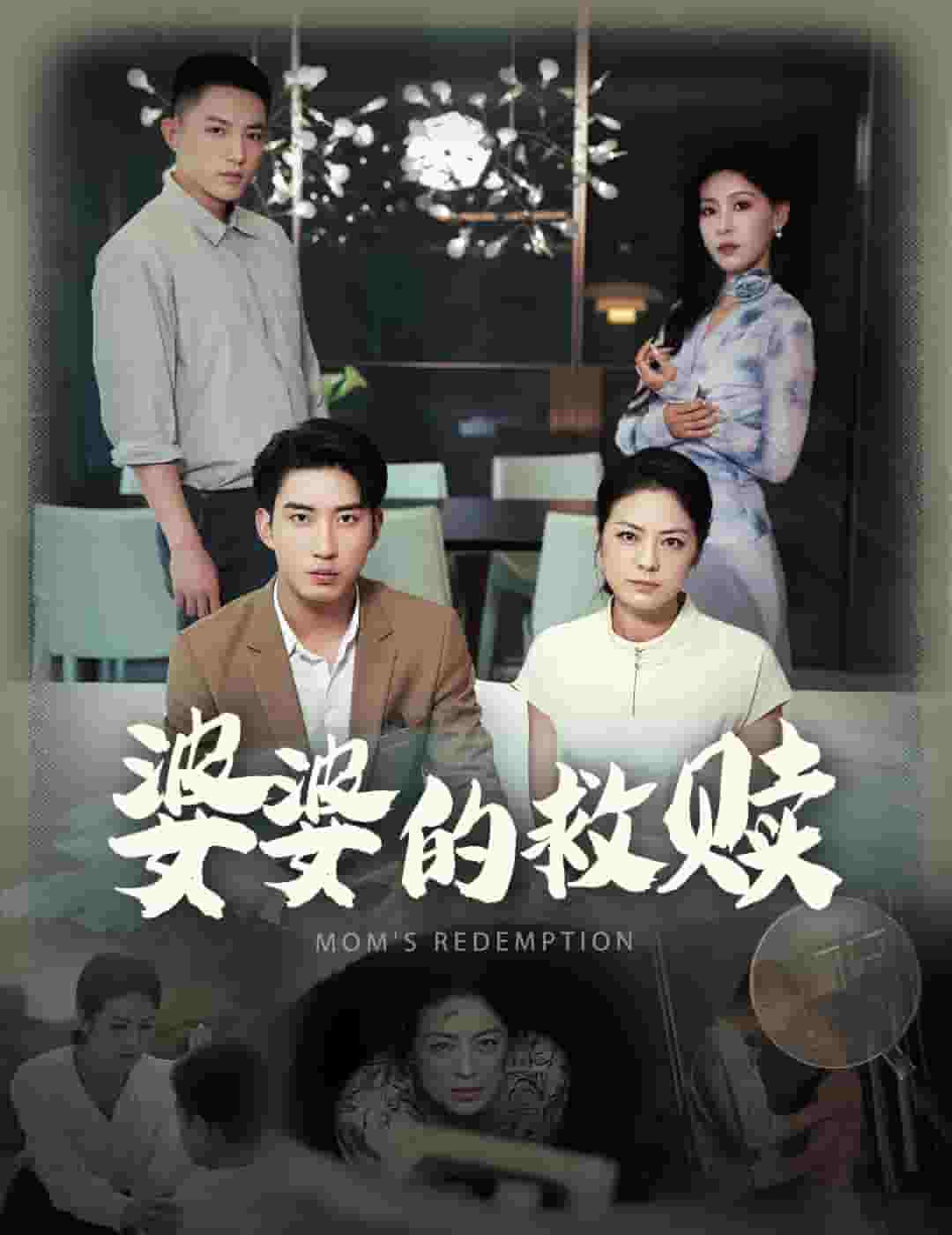 婆婆的救赎第03集