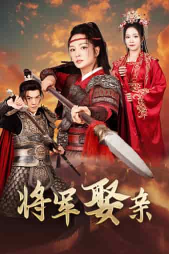 将军娶亲第02集