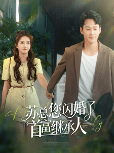 苏总您闪婚了首富继承人第03集