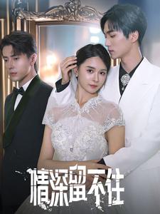 情深留不住第43集