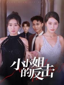 小小姐的反击第02集