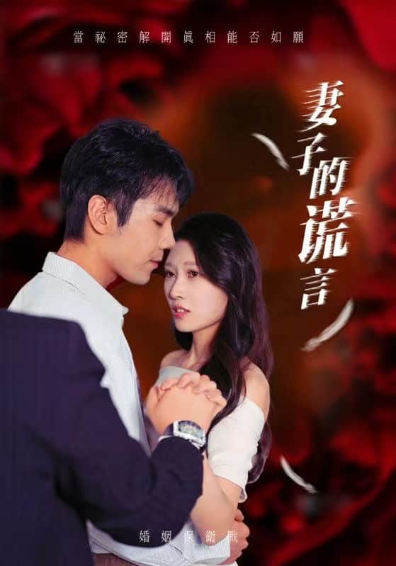 妻子的谎言第11集