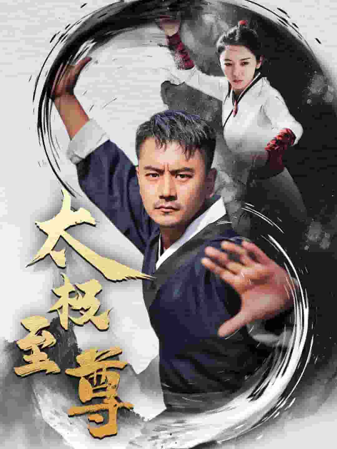 太极至尊第45集