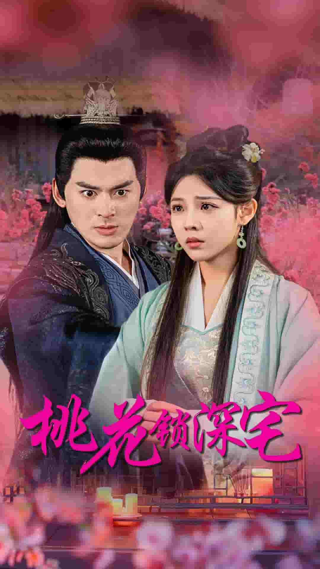 桃花锁深宅第02集