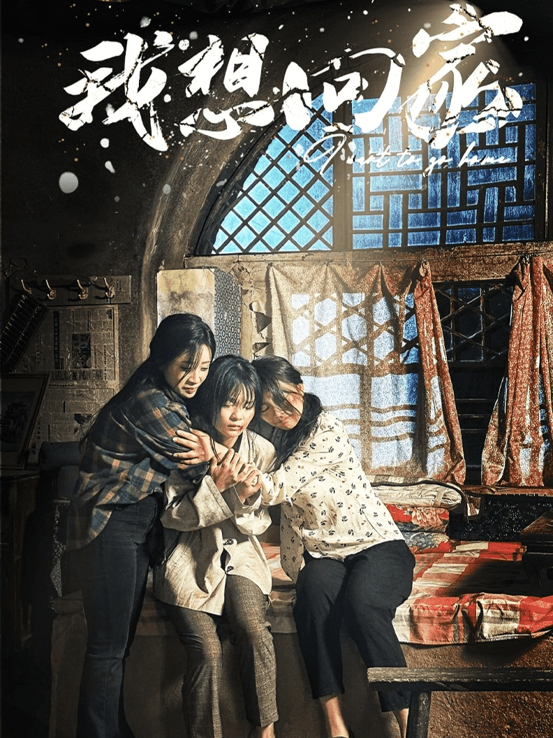 我想回家第19集