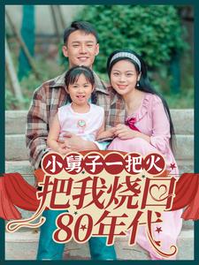 小舅子一把火把我烧回80年代第09集