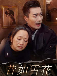 昔如雪花第16集