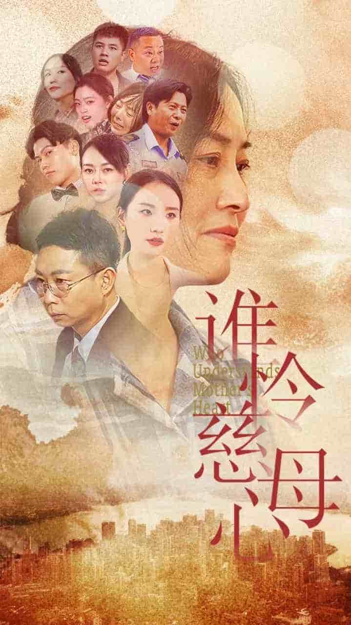 谁怜慈母心第04集