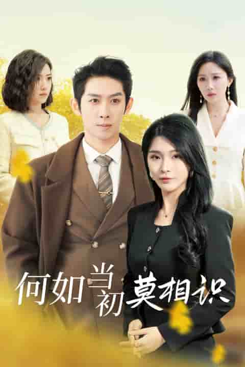 何如当初莫相识第02集