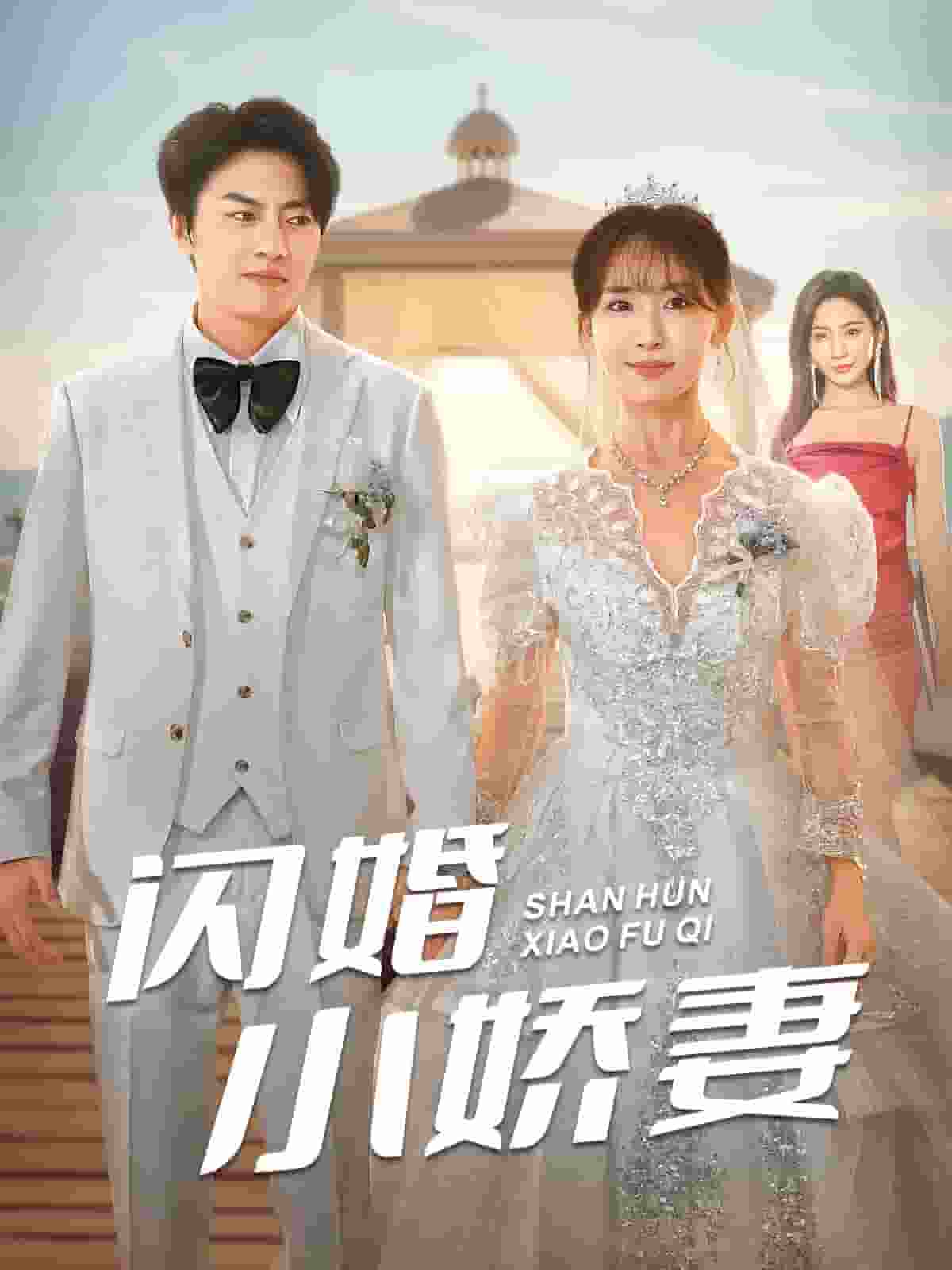 闪婚小娇妻第101集