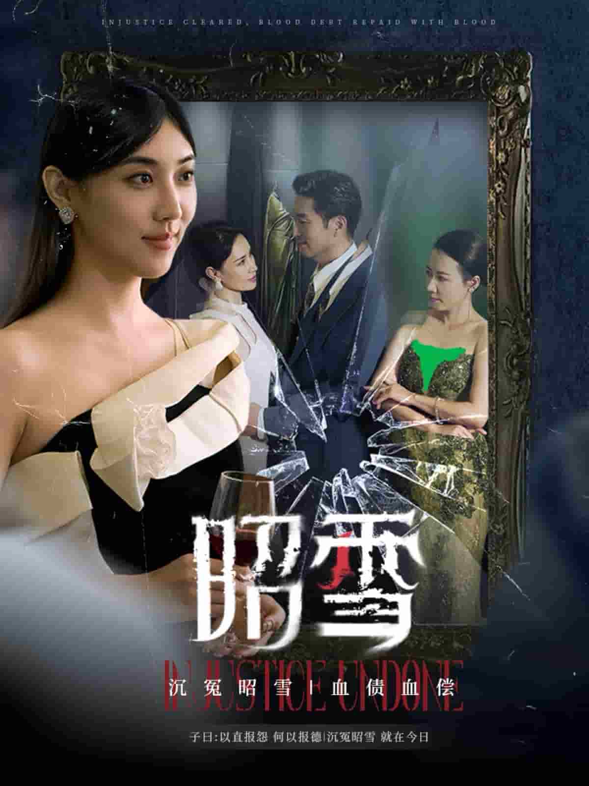昭雪第19集