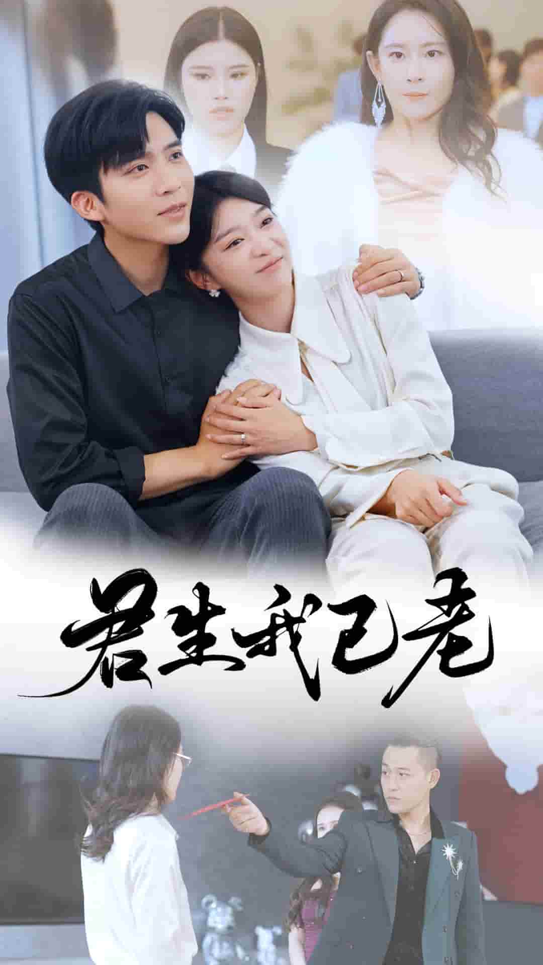 君生我已老第03集