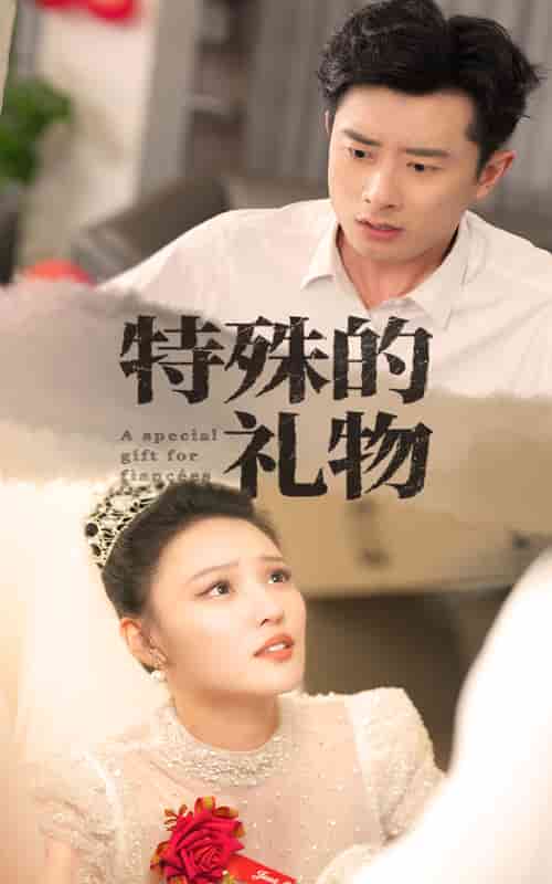 特殊的礼物第08集