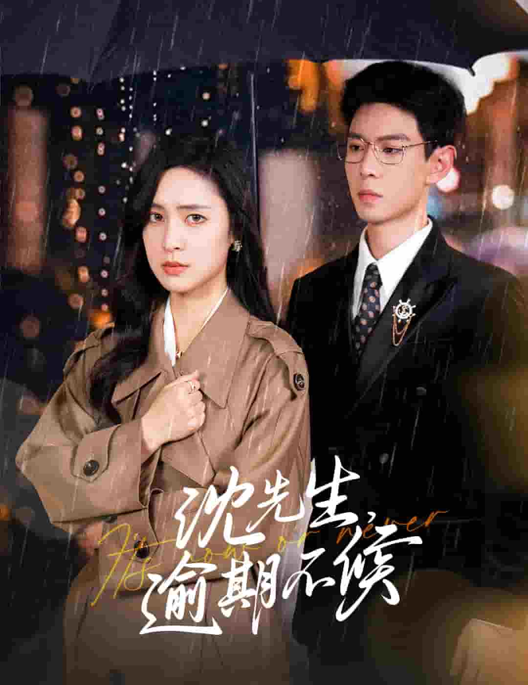 沈先生逾期不候第11集