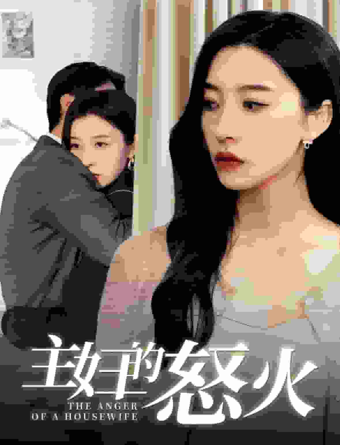 主妇的怒火第03集
