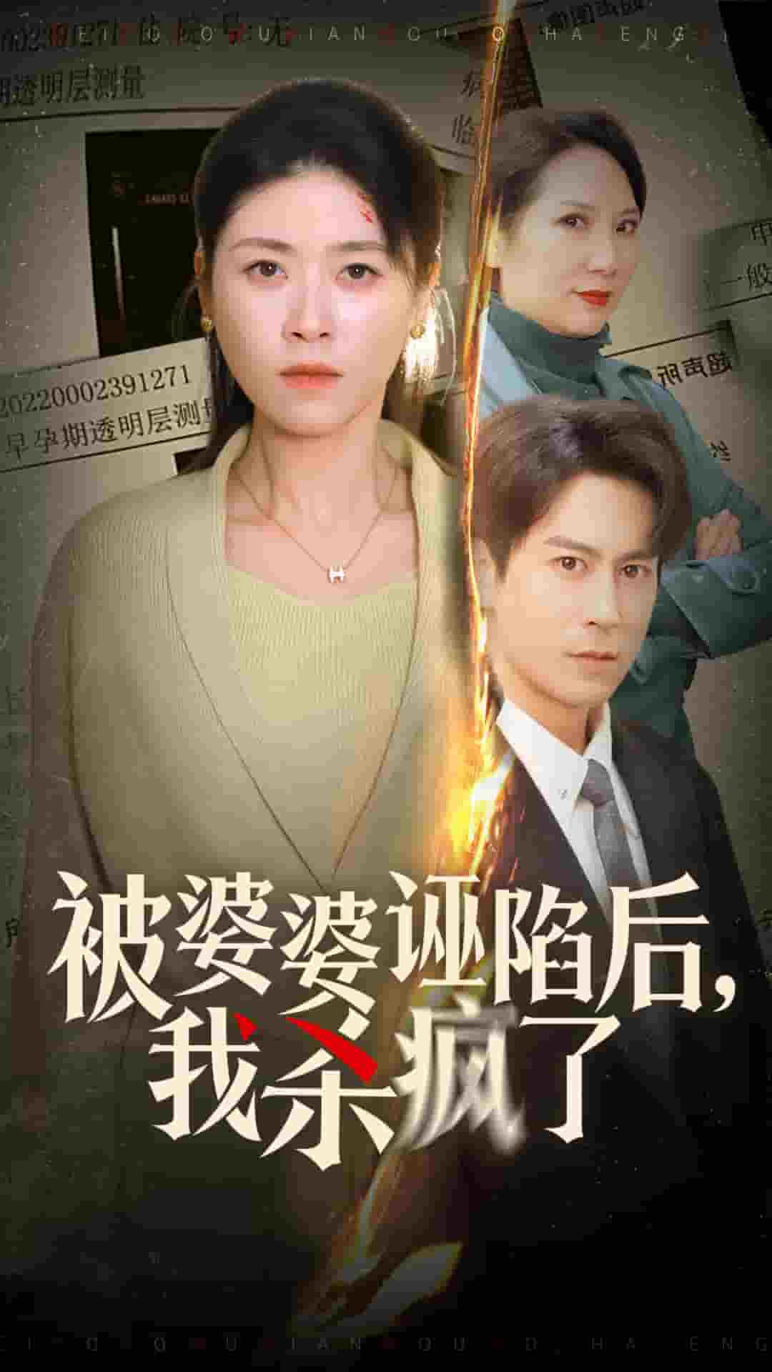 被婆婆诬陷后我杀疯了第02集