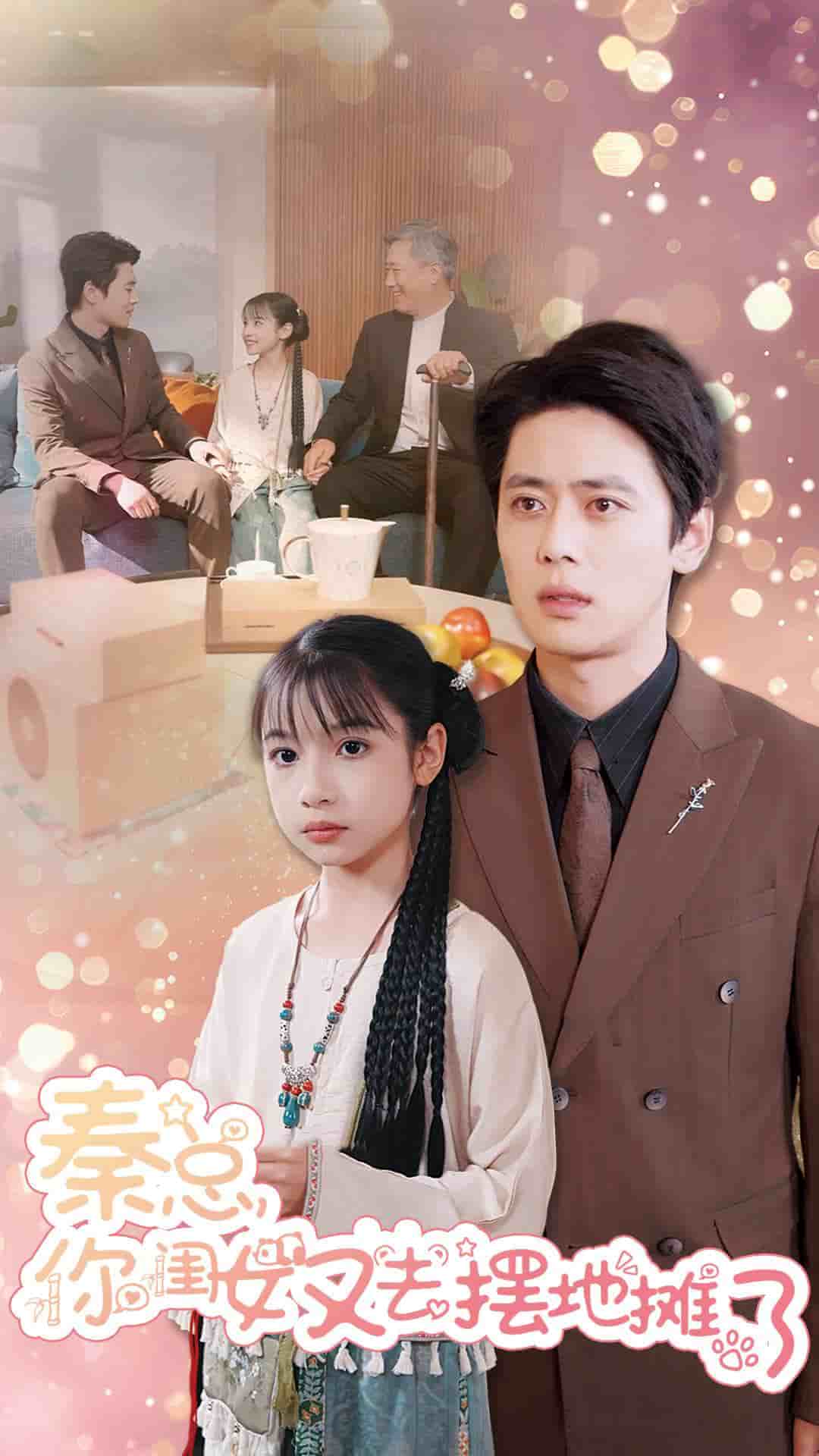 秦总你闺女又去摆地摊了第02集