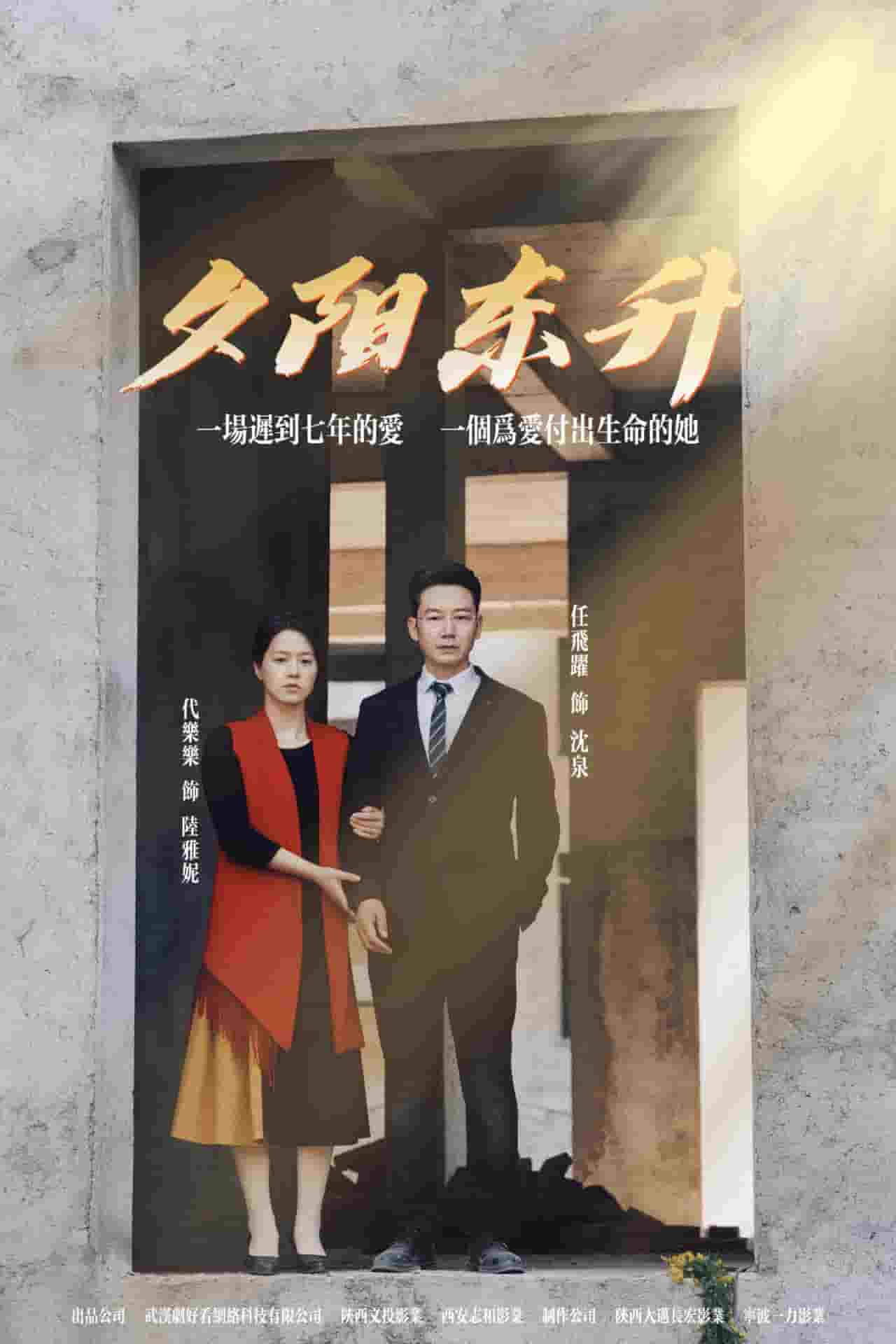 夕阳东升第10集