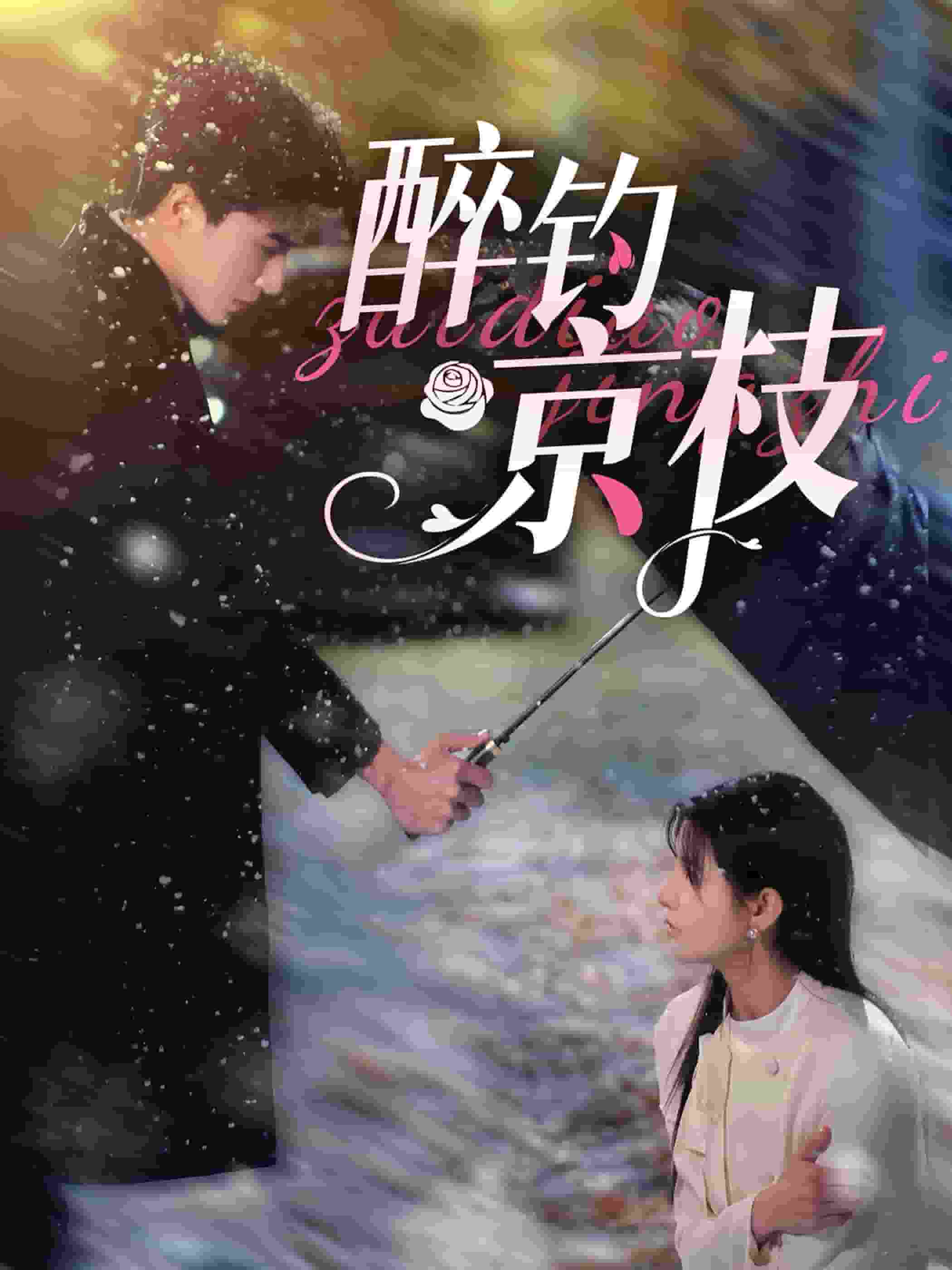 醉钓京枝第75集