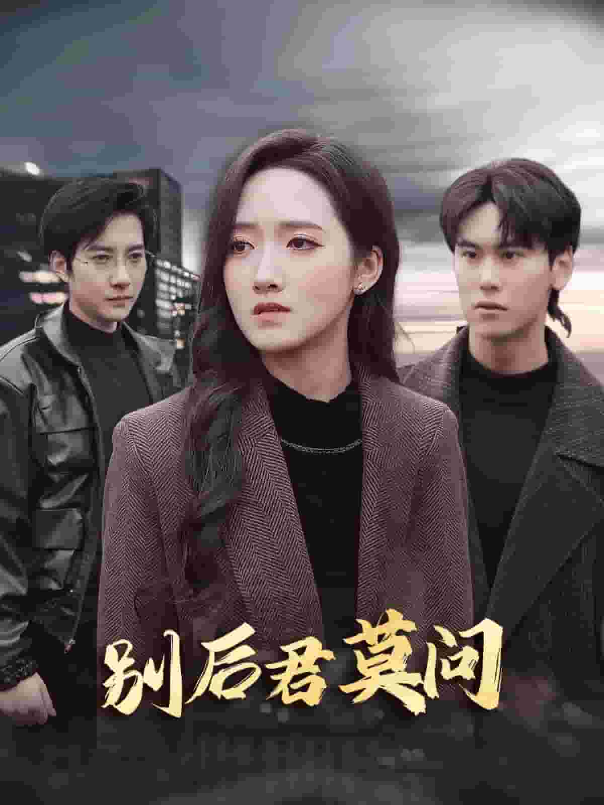 别后悠悠君莫问第02集