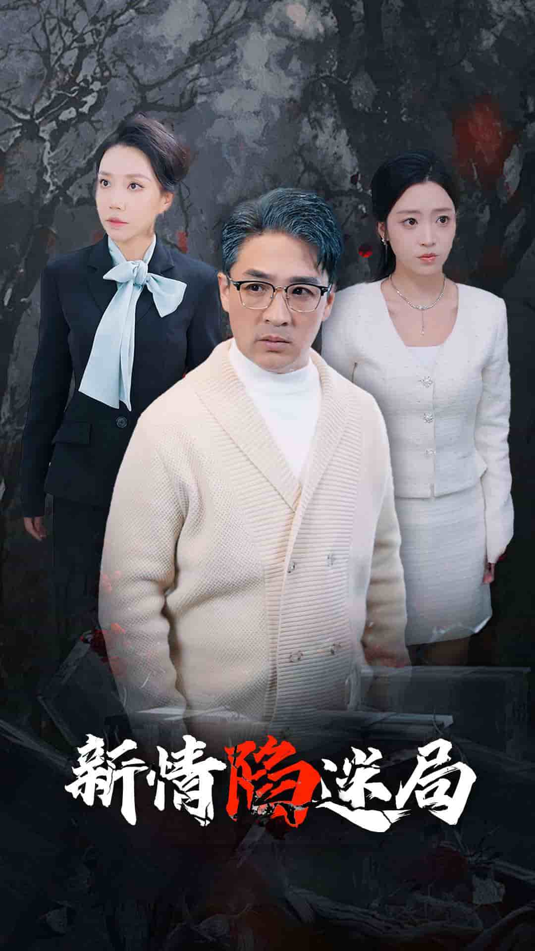 新情陷迷局第03集