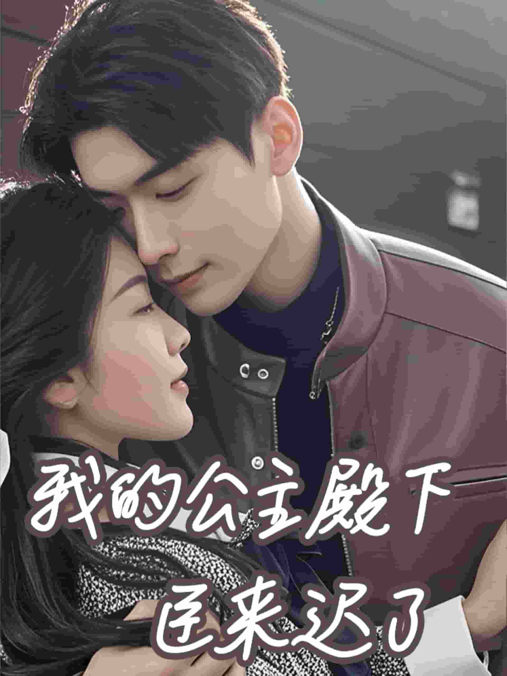 我的公主殿下臣来迟了第03集