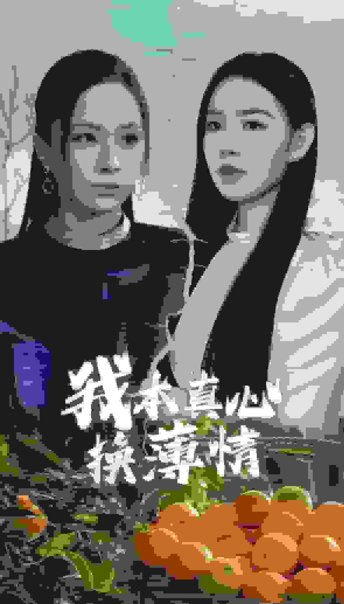 我本真心换薄情第35集