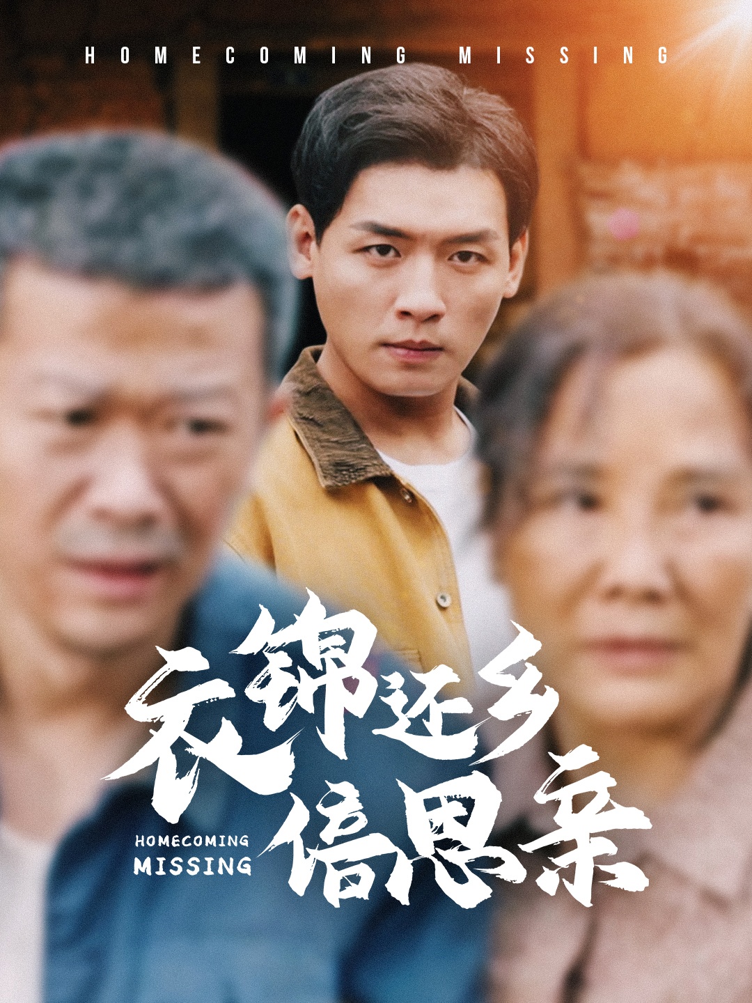 衣锦还乡倍思亲第45集