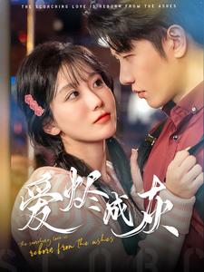 爱烬成灰第46集