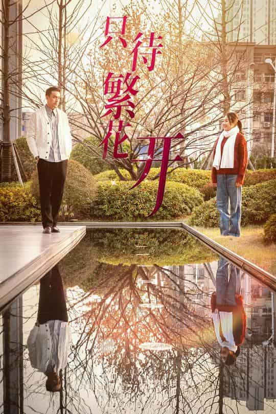 只待繁花开第2集