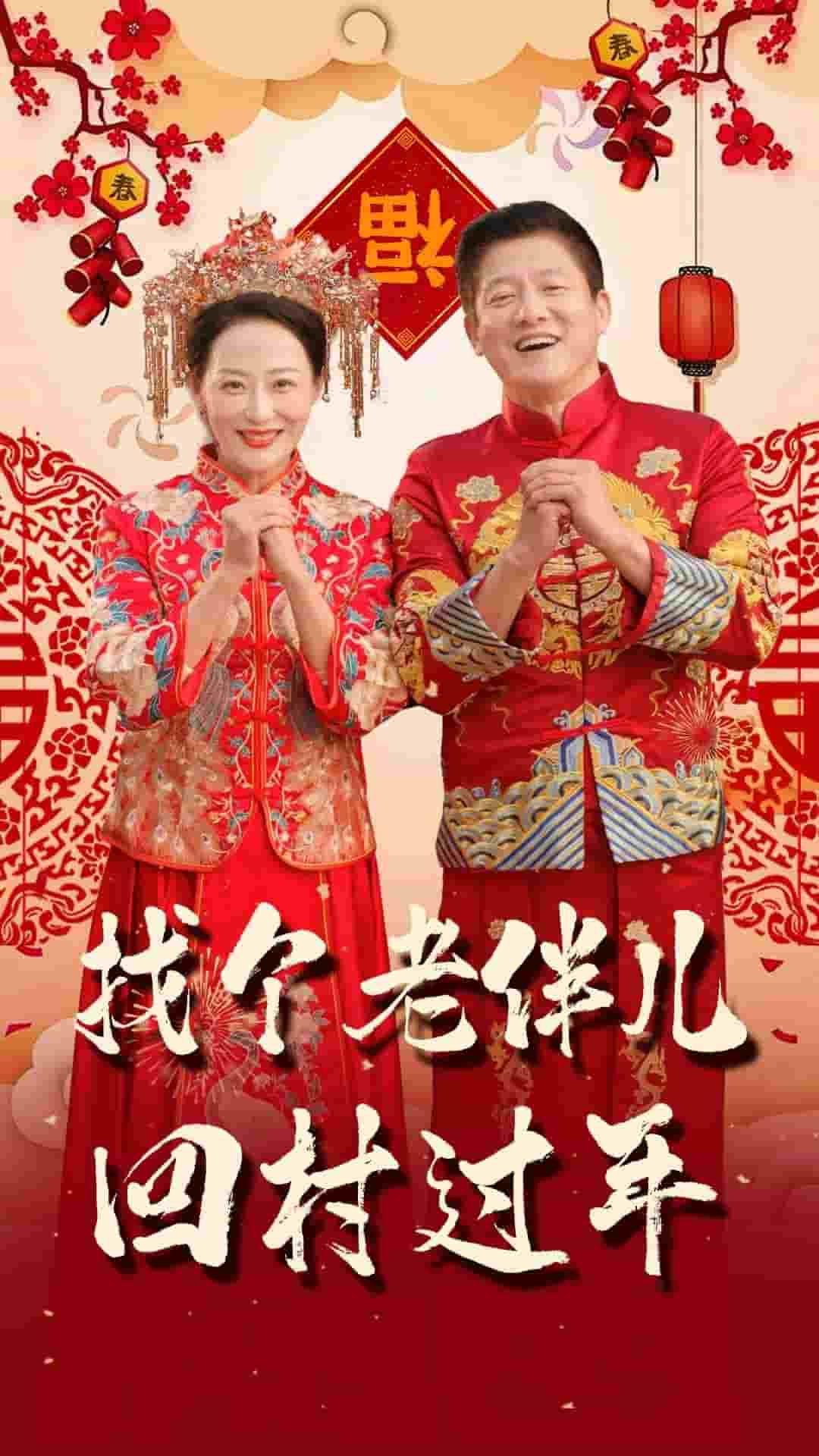 找个老伴儿回村过年第26集