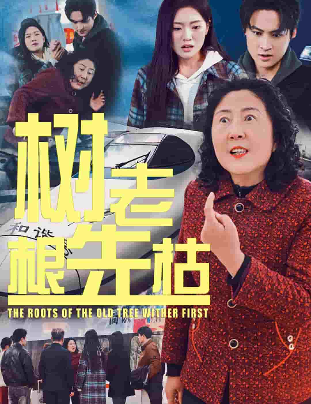 树老根先枯第9集