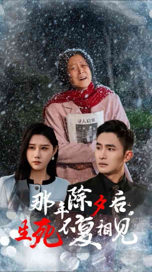 那年除夕后生死不复相见第9集