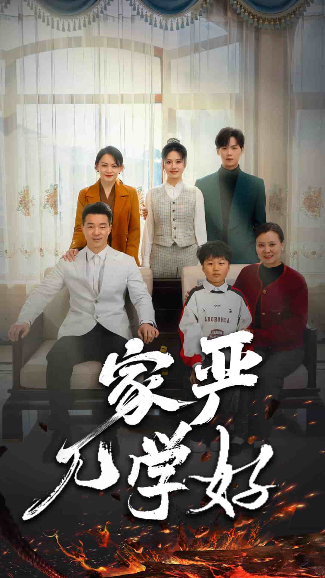 家严儿学好第17集