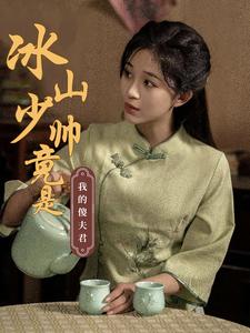 冰山少帅竟是我的傻夫君第2集