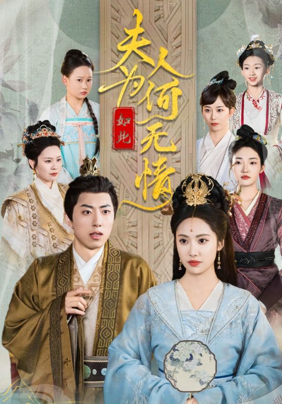 夫人为何如此无情第12集