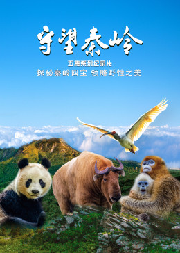 守望秦岭第02集