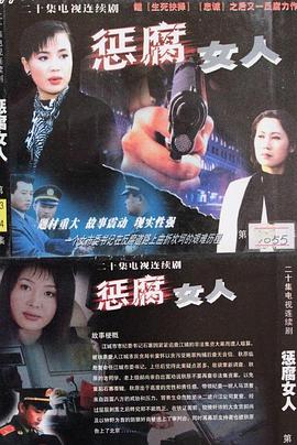 惩腐女人第12集