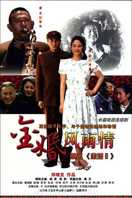 金婚·风雨情第20集