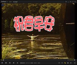 祝君早安国语第29集