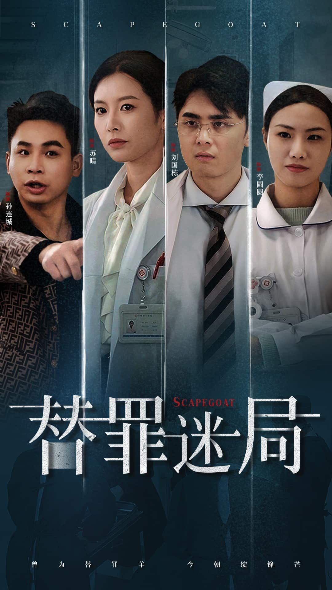 替罪迷局第28集