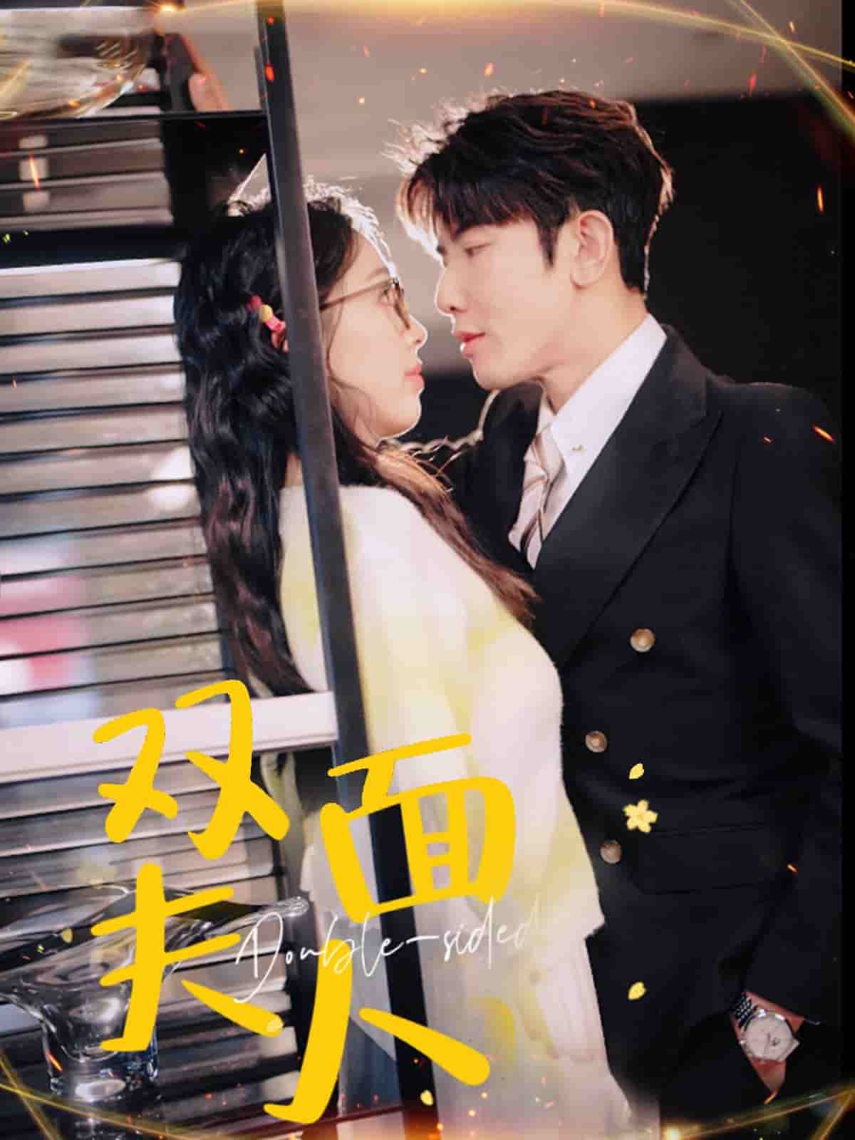 双面夫人第63集
