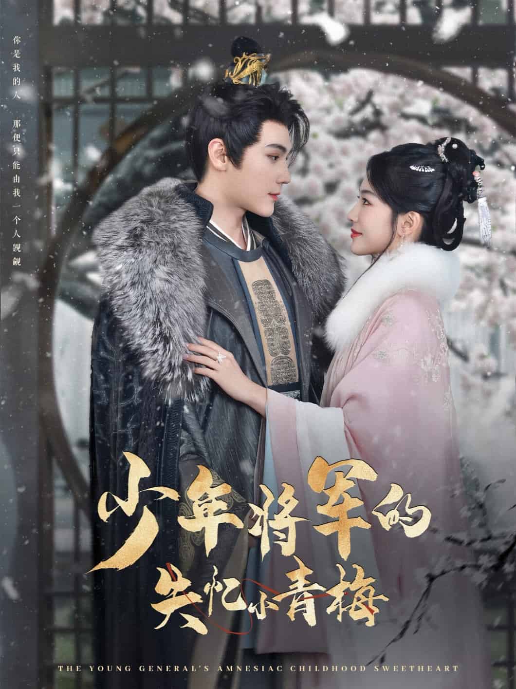 少年将军的失忆小青梅第12集