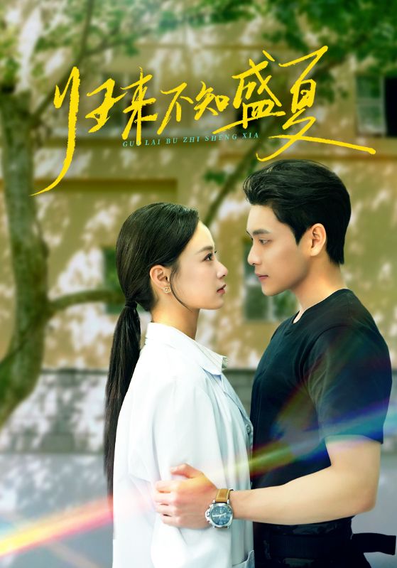 归来不知盛夏第71集