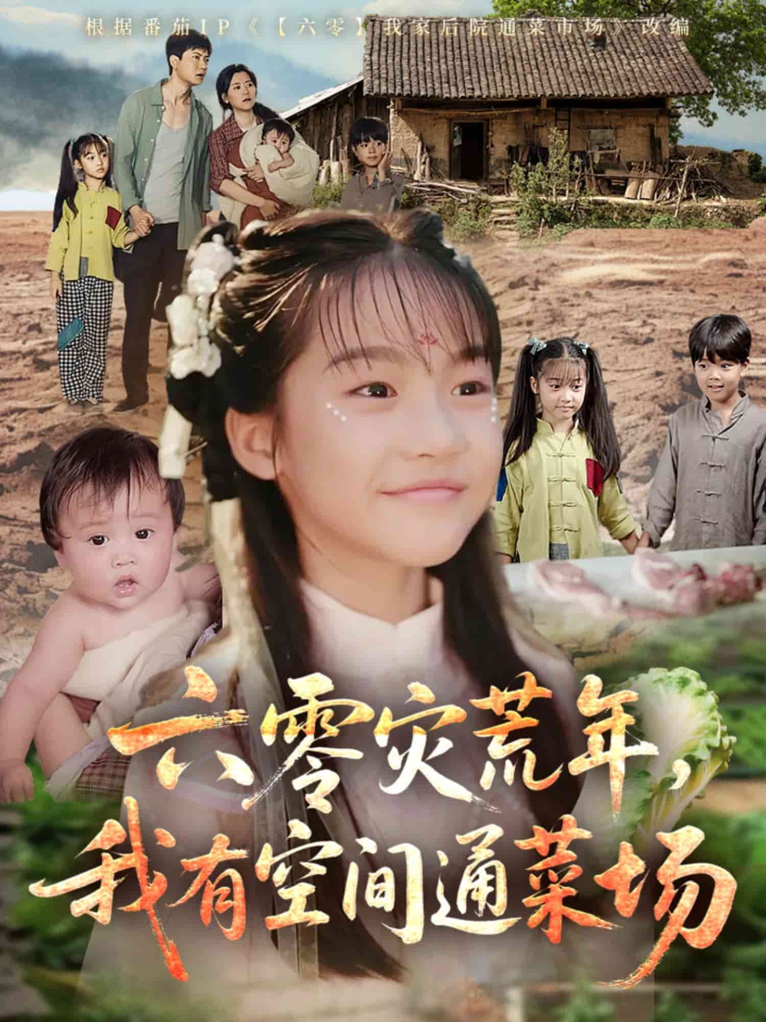 六零灾荒年，我有空间通菜场第59集