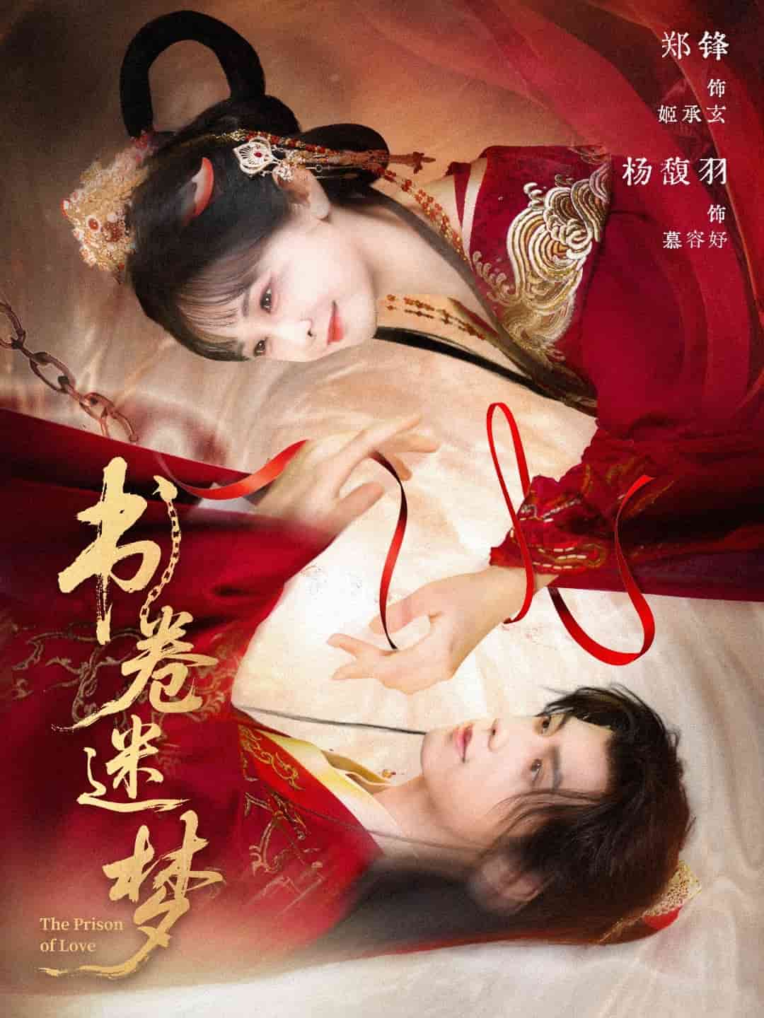 书卷迷梦第49集