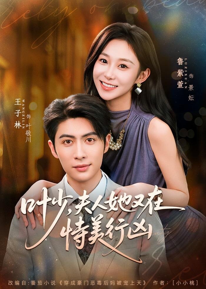 叶少,夫人她又在恃美行凶第17集