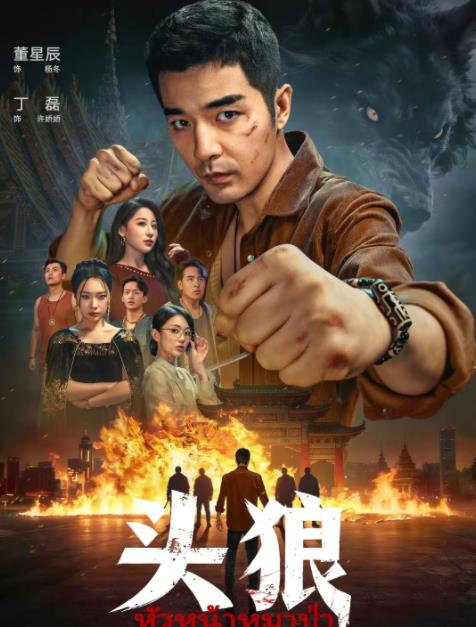 头狼第73集